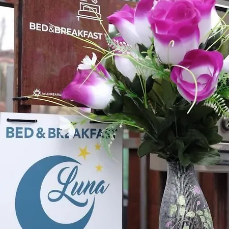 Luna 3*